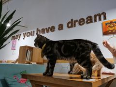 -有何Book(六堰体育馆店)