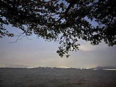 -深圳湾公园(南山区)
