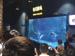 -郑州海洋馆