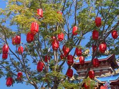 -海花岛旅游度假区
