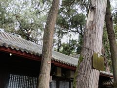 -子昂故里文化旅游区