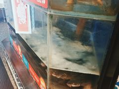 水产区-鱼酷活鱼烤鱼(梅江印象城店)