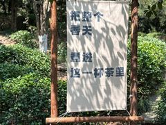 -天目湖山水园