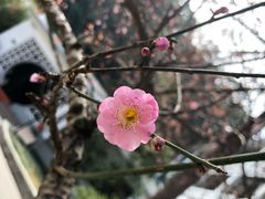 -广东温泉宾馆