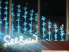 -Seesaw Coffee(朝阳大悦城店)