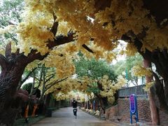 -横店影视城梦幻谷园区