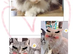-小时光咖啡馆(开森度假森林店)