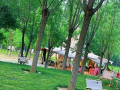 -爪吧宠物乐园 (温榆河示范区店)