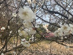 -苏州太湖国家湿地公园