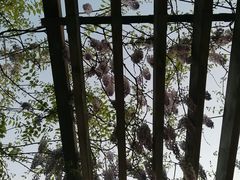 -黄兴公园