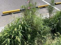 -南锣鼓巷-停车场