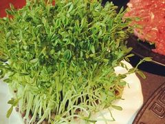 -莽子老火锅(大坪店)