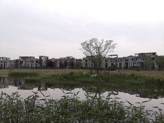 -两河城市森林公园