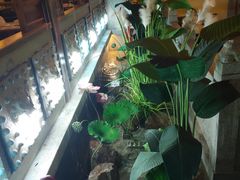 -十二饭点·川菜(北站圆融店)