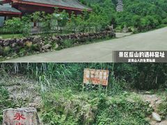 -九曲溪竹筏码头