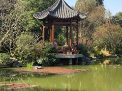 -云溪植物园