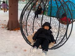 -绿野森林乐园冰雪季