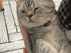 -白夜2D咖啡馆