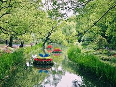 -上海共青森林公园