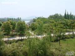 -上海市保健医疗中心(华东疗养院)