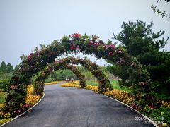 -永定河休闲森林公园