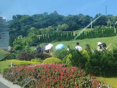 -棒棰岛宾馆景区