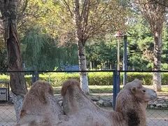 -长白岛森林公园