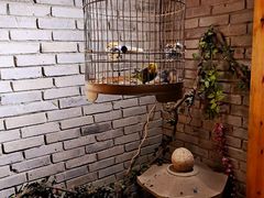 -哈哈曲艺社(西门闲亭店)
