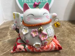 -FACE·日本小颜矫正美容整骨サロン
