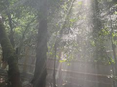 -牛鱼嘴原始生态风景区