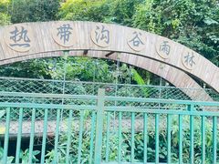 -西双版纳原始森林公园