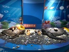 -苏州海洋馆