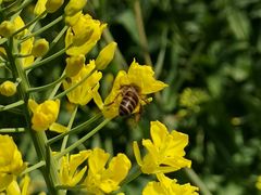 -同济大学(嘉定校区)