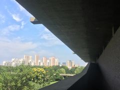 -大叔家福鼎小吃(十全街店)