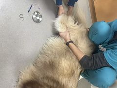 -联合动物医院(光谷诊疗中心)