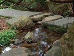-东莞市大岭山森林公园