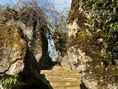 -山王坪喀斯特国家生态公园