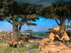 -国家自然博物馆