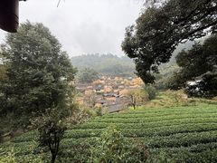 -杨家堂村