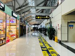 -丽江三义国际机场