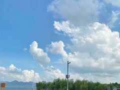 -深圳湾公园(南山区)