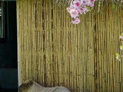 -苏州太湖西山岛开心农场