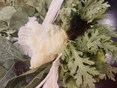 -春记潮汕牛肉火锅