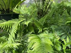 -国家植物园南园