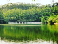 -深圳仙湖植物园
