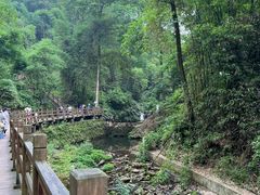 -凤栖山