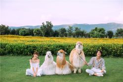 -太古映画婚纱摄影(天河店)