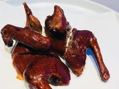 -子福慧(虹桥店)