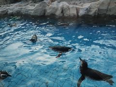 -上海野生动物园