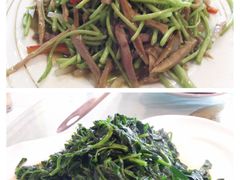 -丁老爷子苏香圆